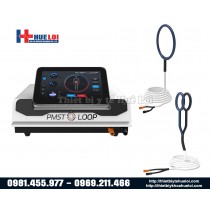 Máy từ trường trị liệu toàn thân PMST LOOP PRO MAX