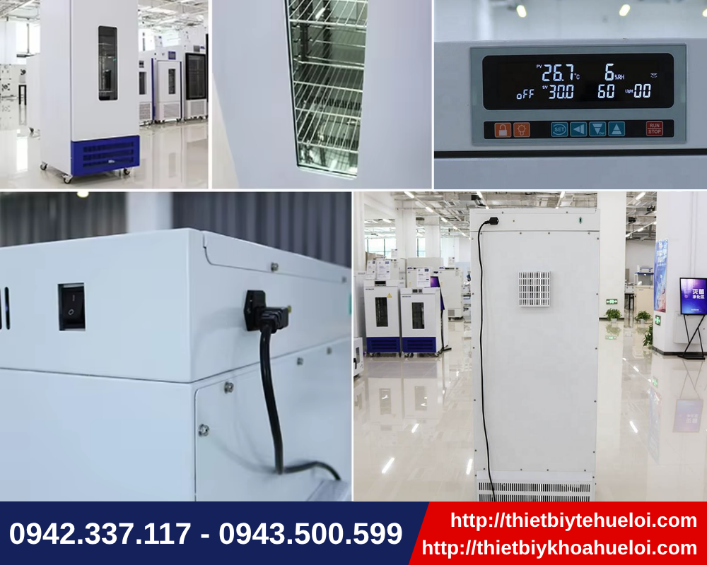 tủ vi khí hậu giá rẻ