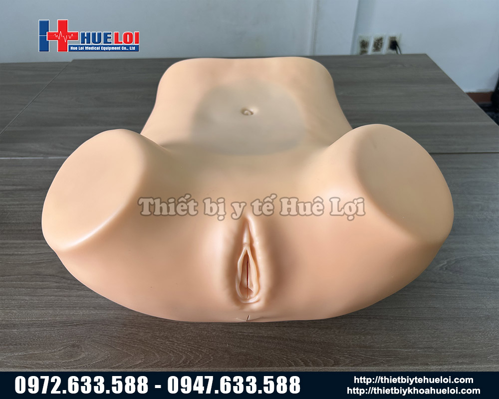 mô hình thực tập khám phụ khoa