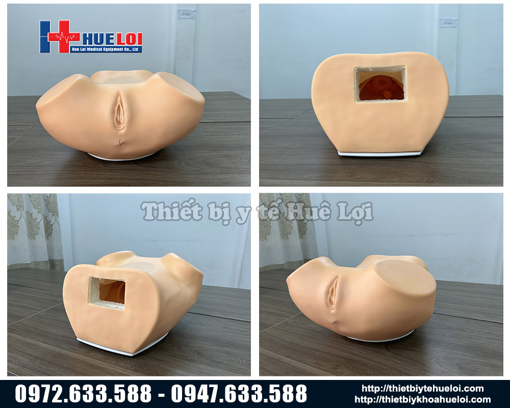 mô hình đào tạo khám phụ khoa