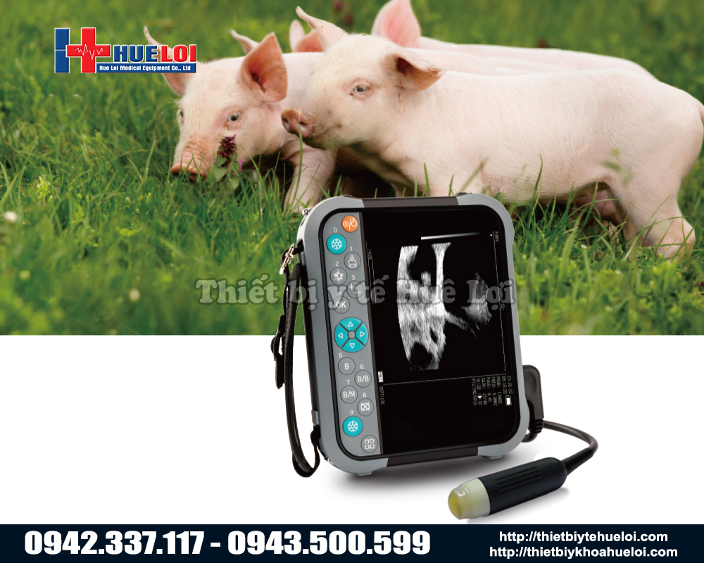 si&ecirc;u &acirc;m trang trại